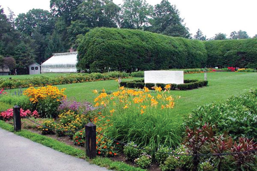 Springwood-President-Franklin- Roosevelt-Rose-garden