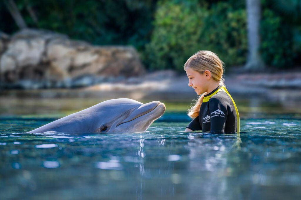 Discovery-Cove-swim-with-dolphins-Orlando-Florida